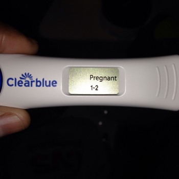 large-temp5245bb6bc457b